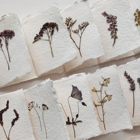 Vintage Flowers on Instagram: "Twenty handmade paper & pressed flower postcards are coming to @sisalla.nl in a few days! #cards #papercards #handmadepaper #nature ##paperaddict #paperaddicts #naturpapier #natuurpapier #pressedflower #pressingflowers #floralcards #herbarium #herbier" Handmade Paper Aesthetic, Watercolor Dried Flowers, Pressed Flower Aesthetic, Dried Flowers Card, Pressed Flower Journal, Dried Flower Cards, Pressed Flower Cards, Milk Carton Crafts, Vintage Cards Handmade