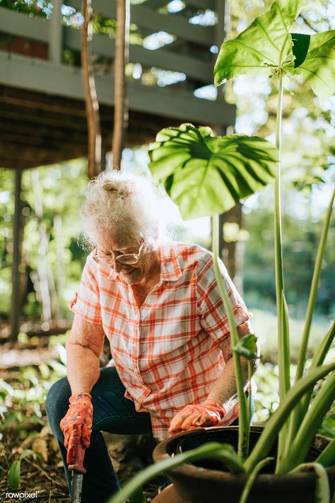 Senior woman tending to the plants in her garden | premium image by rawpixel.com / McKinsey Shade Annuals, In Her Garden, Picture Prompts, Shade Flowers, Shade Perennials, Senior Living, Women Lifestyle, Old Age, Old People