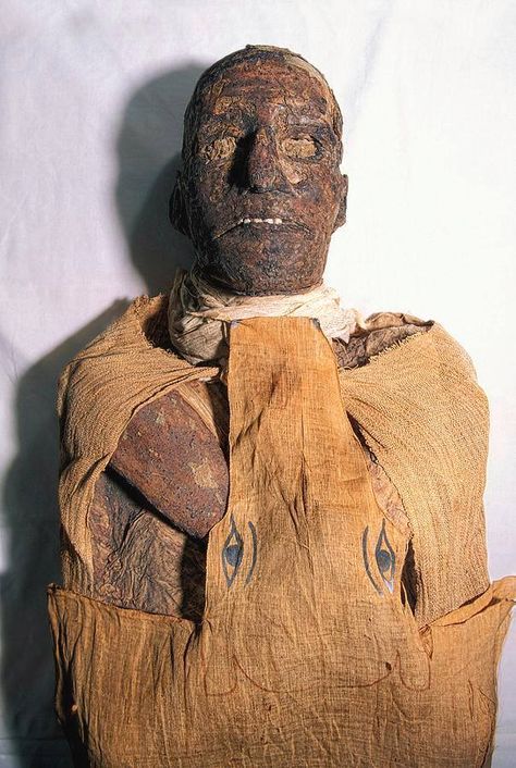 Ramses Iii, Cairo Museum, Mummified Body, Egypt Mummy, Egypt Museum, Egyptian Mummies, Egyptian Artifacts, Ancient Egypt Art, Valley Of The Kings