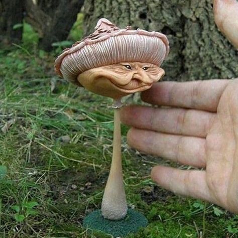 PRICES MAY VARY. 【Realistic Design】: Our garden mushroom statues are made from high-quality resin and feature a realistic shape and fine workmanship. The interesting face pattern is unique and hand-painted in amazing detail. The trim has a protective coating that ensures it won't fade in the sun or rain. 【Whimsical Garden Decor】: These creative mushrooms have interesting face shapes that will fill your garden or backyard with magic and fun. This little guy looks scary and mixes cute and evil int Clay Mushrooms, Polymer Clay Kunst, Hantverk Diy, Witch Figurines, Polymer Clay Sculptures, Decorative Sculpture, Mushroom Art, Sculpting Clay, Arte Fantasy