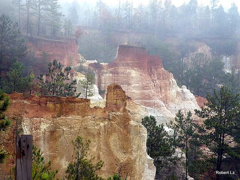 providence canyon, georgia Providence Canyon State Park, History Scrapbook, Driving Across Country, Providence Canyon, Georgia History, Out West, State Park, Us Travel, Places To See