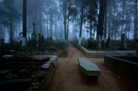 Highgate Cemetery Real Del Monte, Country Colors, Creepy Places, Highgate Cemetery, One Photo, Back In Time, Abandoned Places, Most Beautiful Places, First Photo