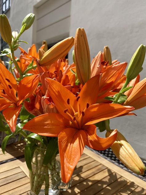 Garden Simple Ideas, Orange Lily Flower, Garden Simple, Fleur Orange, Plants Are Friends, Boquette Flowers, Nothing But Flowers, Flowers Aesthetic, Orange Aesthetic