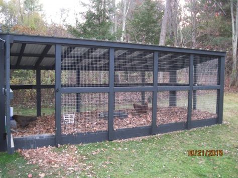 custom chicken run Reban Ayam, Urban Chicken Farming, Easy Chicken Coop, Coop Run, Chicken Barn, Portable Chicken Coop, Diy Chicken Coop Plans, Chicken Coup, Urban Chickens