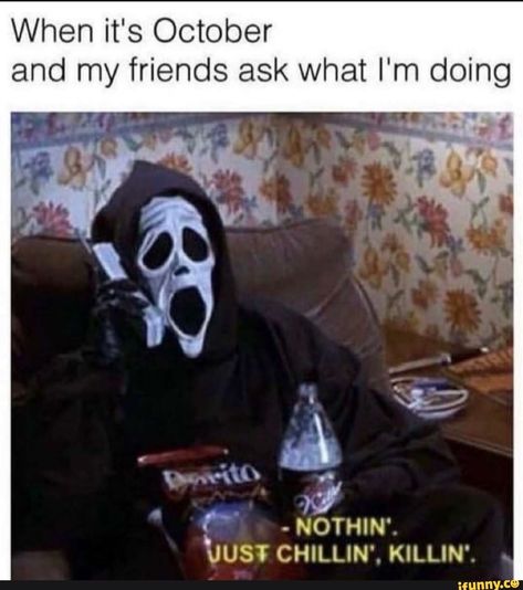 Funny Halloween Memes, Spooky Memes, Halloween Memes, Insane Clown, Movie Memes, Joke Of The Day, Killin It, Funny Tweets, Popular Memes