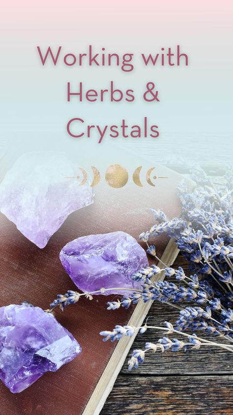 Working with herbs & crystals is an incredible way to make some magic, find balance, and support your spiritual work. Herb Pairings, Crystals And Herbs, Small Glass Containers, Spell Bottles, Crystal Magick, Calendula Salve, Heather Flower, How To Make Crystals, Spiritual Work