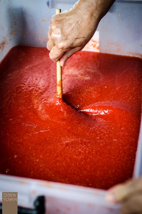 Traditional Italian Tomato Sauce, How To Make Passata Sauce, Tomato Passata Recipe, Passata Recipes, Passata Sauce, Tomato Passata, Preserving Tomatoes, Italian Family, Italian Recipes Traditional