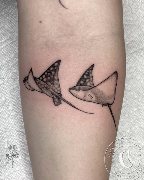 Sting Ray Tattoo, Beachy Tattoos, Stingray Tattoo, Sting Rays, Black Line Tattoo, Ray Tattoo, Florida Tattoos, Traditional Tattoo Inspiration