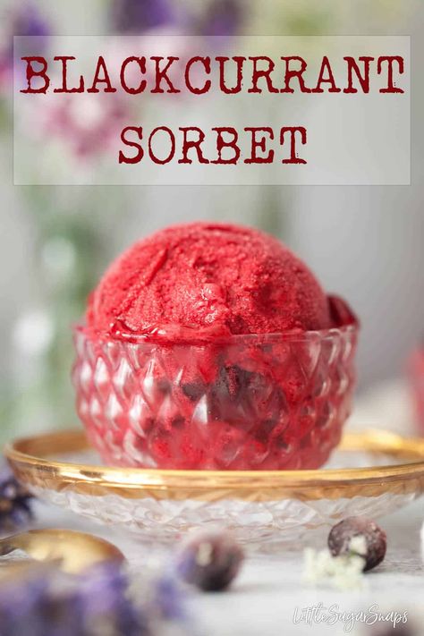 BLACKCURRANT SORBET #blackcurrantsorbet #fruitsorbet #blackcurranticecream #blackcurrantrecipe #blackcurrants #whattomakewithblackcurrants Black Currant Ice Cream, Black Currant Recipes, Mixed Berry Sorbet, Blackcurrant Sorbet, Currant Recipes, Blueberries And Raspberries, Sorbet Is, Fruit Sorbet, Berry Sorbet