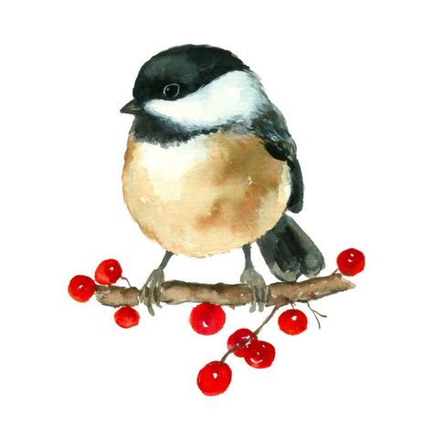 Watercolour Chickadee, Winter Birds Painting, Chickadee Drawing, Watercolor Chickadee, Colour Christmas, Chickadee Art, Bird Paintings On Canvas, Watercolour Christmas, Christmas Birds