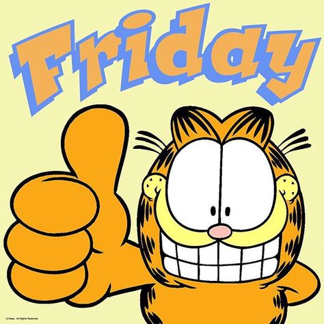 Casual Friday. Pants are optional. #garfield #catsofinstagram #catstagram  #catsagram #fridays Garfield Friday, Snoopy Friday, Happy Friday Gif, Garfield Birthday, Garfield Quotes, Garfield Wallpaper, Garfield Pictures, Garfield Images, Garfield The Cat