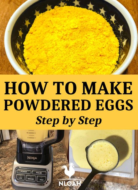 How Do You Dehydrate Eggs, How To Make Powdered Eggs, Egg Powder Recipes, Canned Eggs Recipe, Dehydrator Recipes Backpacking, Dehydrated Eggs, Dehydrated Recipes, Dehydrating Recipes, Dehydrating Food Storage