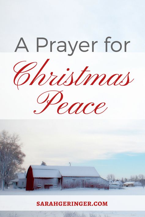 Bring peace into your Christmas season with this prayer. #peace #christmaspeace #prayer #intentionalliving Prayer For Christmas, Advent Prayers, Christmas Peace, Hope In Jesus, Christian Meditation, Christmas Prayer, Christ Centered Christmas, Christian Traditions, Prince Of Peace