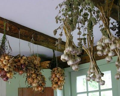 Garlic Hanging Kitchen, Hanging Garlic In Kitchen, Hanging Garlic To Dry, Garlic Drying, Hanging Garlic, Garlic Hanging, Drying Garlic, Garlic Garden, Garlic Farm