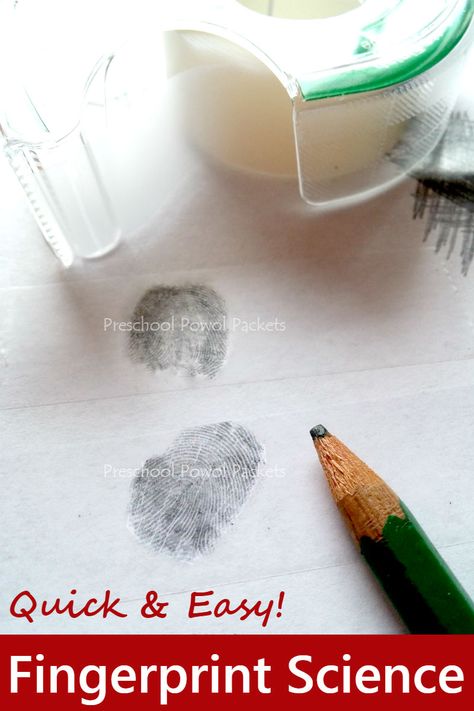 Awesome fingerprint STEM investigation for all ages! Uses tape, the best Christmas gift wrapping tool ever!!  :D Experiments Preschool, Fingerprint Science, Police Activities, Community Helpers Preschool, Stem Curriculum, Preschool Stem, Science Camp, Christmas Science, Christmas Stem