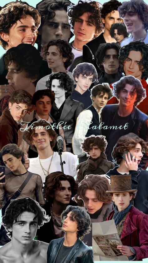 Collage Timothee Chalamet Collage, Maroon 5, Timothee Chalamet, Celebrity Crush, Collage, Celebrities