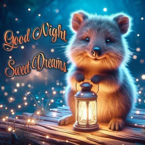 Nighty night my cute cute fluffies out there 💕 Nighty Night Quotes, Animated Christmas Pictures, Special Friend Quotes, Good Night Funny, Good Night Love Messages, Beautiful Good Night Images, Good Night Love Images, Cute Good Night, Slaap Lekker