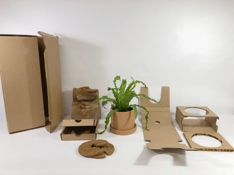 How joining the e-bike revolution made my 2020 a lot more bearable Plant Box Design, Packaging Design Trends, Paper Plants, Plant Projects, Plant Box, Craft Packaging, Branding Design Packaging, Creative Gift Wrapping, Box Packaging Design