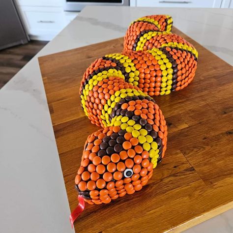 Reese Pieces, Snake Cake, Snake Cakes, Snake Birthday, Snake Party, Reptile Party, Birthday Cake Recipe, Childrens Birthday Cakes, Fun Cupcakes