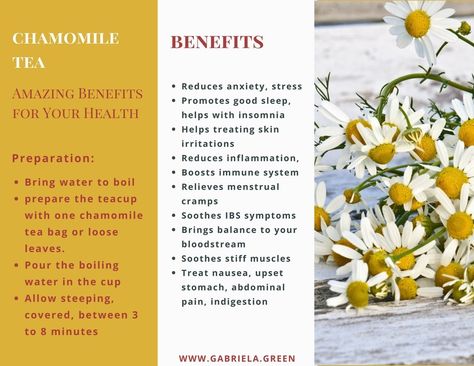 Chamomile Tea - Amazing Benefits for Your Health - Gabriela Green Benefits Of Chamomile Tea, Lemon Tea Benefits, Benefits Of Chamomile, Chamomile Tea Benefits, Ginger Tea Benefits, Herbal Tea Benefits, Tea Health Benefits, Health Tea, Green Tea Benefits