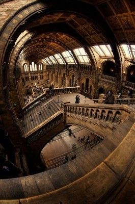 Harry Potter staircases. Er no. British Museum, Kensington, London England. Architecture Cool, Natural History Museum London, Natural History Museum, Covent Garden, History Museum, Beautiful Buildings, Amazing Architecture, Siena, Train Station