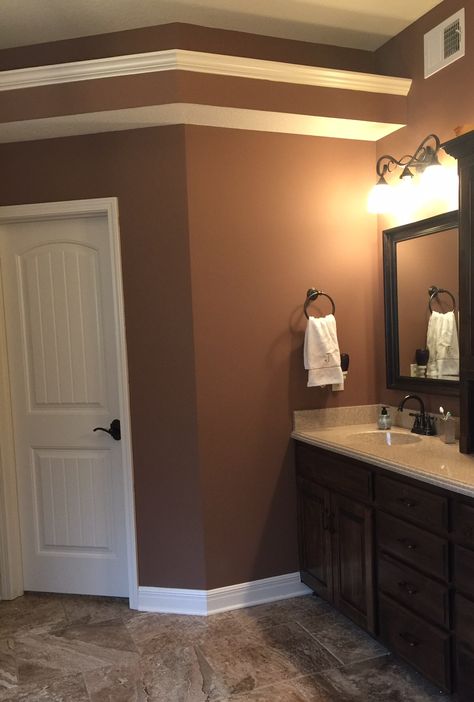 Benjamin Moore Carob from the Affinity collection AF-160 Carob Benjamin Moore, Eyes Contour, Narrow Bathroom, Brown Bedroom, Benjamin Moore, Paint Color, Lancaster, Framed Bathroom Mirror, Color Me