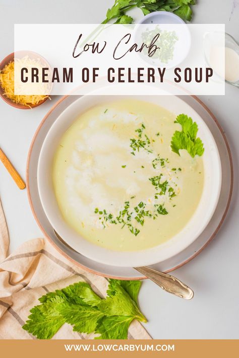 Homemade Cream Of Celery Soup, Aip Foods, Soups For Kids, Keto Soups, Cream Of Celery, Keto Cream, Creamy Recipes, Homemade Crackers, Cream Of Celery Soup