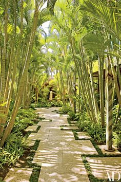 Japanese Garden Decor, Tropical Landscape Design, Tropical Garden Design, Tropical Backyard, Japanese Garden Design, Backyard Pools, Garden Path, Backyard Garden Design, Garden Landscape Design