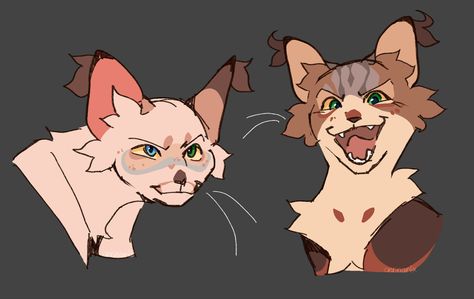 Warrior Cats Headshots, Magia Das Ervas, Cat Drawing Tutorial, Cats Art Drawing, Warrior Cats Fan Art, Warrior Cat Drawings, Warrior Cat Oc, Cat Oc, Warrior Cats Art