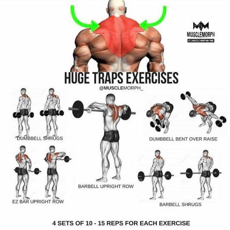 Best Traps Workout, Workout For Traps, Traps Workout Gym, Shoulder And Traps Workout Gym, Simpsons Workout, Trap Excersises, Upper Traps Workout, Trapezius Workout, Trap Workout