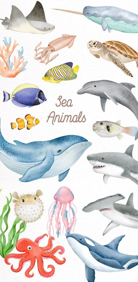 Under The Sea Doodles, Cute Sea Animals Drawing, Sea Creature Illustration, Sea Animals Art, Fish Illustration Design, Sea Creatures Clipart, Watercolor Ocean Animals, Watercolor Sea Animals, Under The Sea Creatures