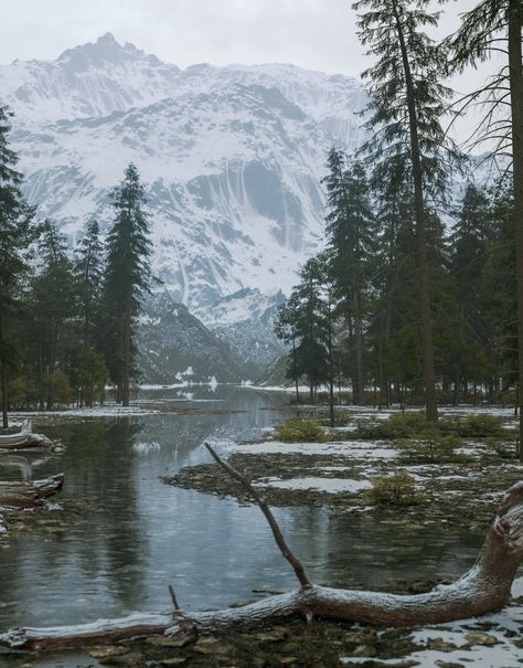 ArtStation - Rocky Mountain Stream Snowy Mountain Forest, Winter Forest Mountain, Landscape Snow Photography, Rocky Mountain Gothic, Cold Mountain Aesthetic, Rocky Mountain Aesthetic, Mountains On Film, Mountain Village Aesthetic, Snowy Mountain Aesthetic