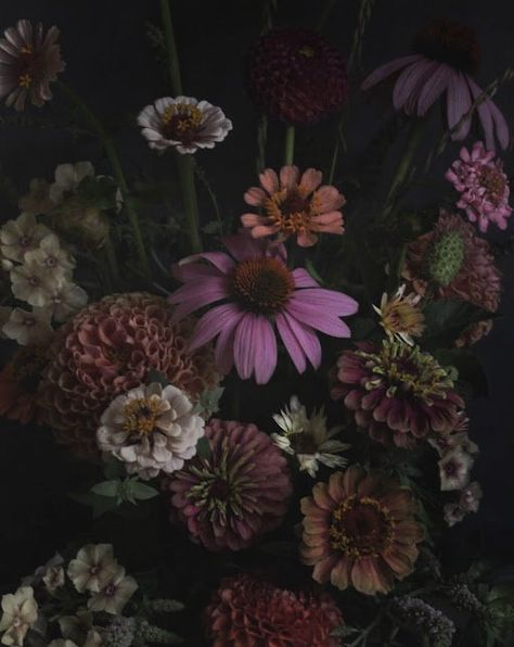 Botanicals Aesthetic, Flowers On Dark Background, Goddess Persephone, Vanitas Paintings, Idea Paint, Dark Botanical, Dark Florals, Robert Doisneau, Photography Still Life