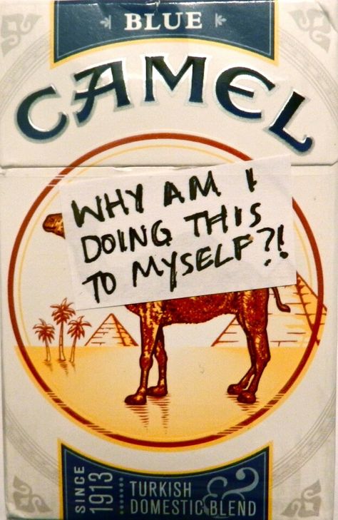 Camel cigs "why am I doing this to myself?" Camel Ciggerate, Light Em Up, I Am Statements, Dorm Posters, Camel, Novelty Sign, Tumblr, Pink, Quick Saves