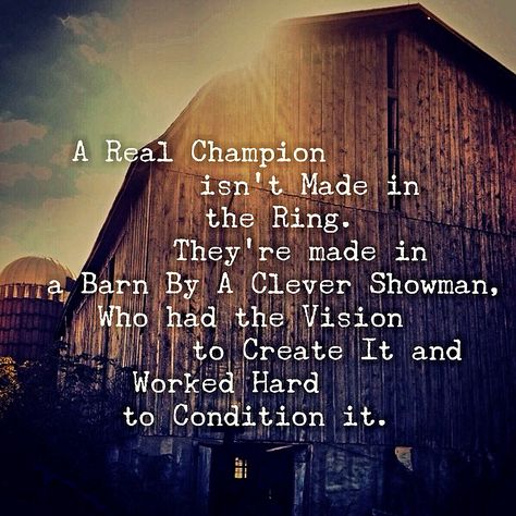 A Real Champion isn't made in the Ring. They're Made in a Barn by A Clever Showman, Who had the Vision to Create It, and Worked Hard to Condition it. 4h Quotes, Showing Cattle Quotes, Cattle Quotes, Pig Quotes, Pigs Quote, Livestock Quotes, Showing Cattle, Livestock Showing, Livestock Judging