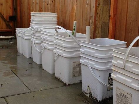 Stores that hand out five gallon buckets for free | Five Gallon Ideas Emergency Preparedness Checklist, Five Gallon Bucket, Survival Garden, Bucket Ideas, 5 Gallon Buckets, Bucket Gardening, Survival Items, Survival Gardening, Survival Life Hacks