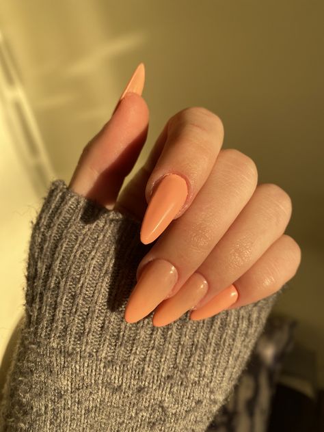 Peachy Orange Nails, Peach Chrome Nails, Peachy Nails, Glazed Peaches, Business Aesthetic, Peach Nails, Almond Shape Nails, Minimal Nails, Fall Nail Art