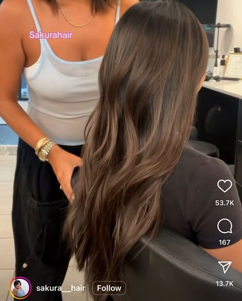 Long Bob Haircut With Layers Brunette, Haïr Cut For Thick Hair, Brown Hair Dimension, Ashy Dark Brown Hair, Ashy Dark Brown Hair Balayage, Ashley Haircut, Ashy Brown Balayage, Layers Brunette, Bob Haircut With Layers