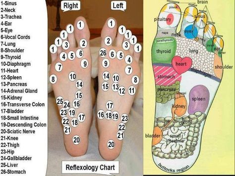 reflexology chart for the feet Autogenic Training, Reflexology Chart, Reflexology Massage, Foot Reflexology, Reflexology, Health Info, Health And Beauty Tips, Acupressure, Massage Therapy