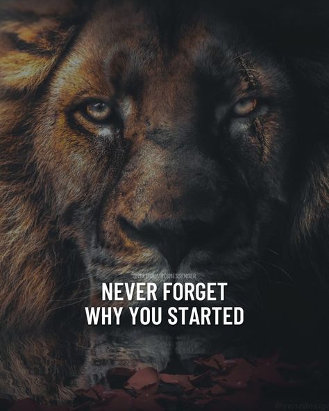 Lion Attitude Quotes, Lion Quote, Tiger Quotes, Motivational Quotes For Men, Leo Quotes, Lion Quotes, Wise Sayings, Wolf Quotes, Self Inspirational Quotes