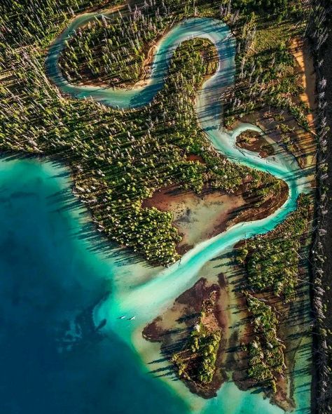 Little Redfish Lake In Idaho, USA Wedding Iconography, Redfish Lake Idaho, Idaho Vacation, Sandpoint Idaho, Trout Lake, Lake Fishing, Water Photography, Road Trippin, Red Fish