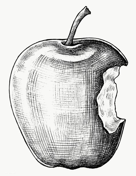 Bitten Apple, Apple Sketch, Apple Tattoo, Drawing Apple, Fruit Sketch, Apple Bite, Apple Pen, Fruits Drawing, Coffee Drawing