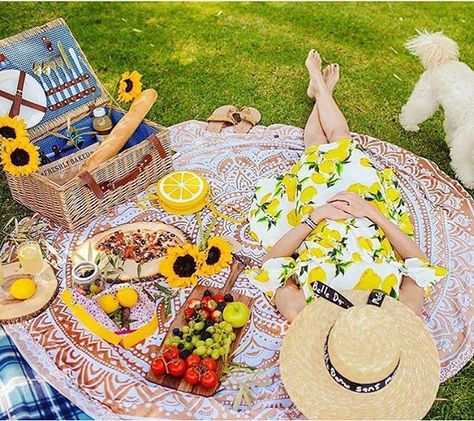 "Our family loves outdoor picnics!!! 🍋🍋🍋" Hello Labor Day weekend! Summer, where'd you go? 💛 Beautiful capture by May @mayandtravel 📸 #globalstorybook Bright Summer Aesthetic, Sunflower Picnic, Aesthetic Picnic, Picnic Inspiration, Picnic Style, Romantic Picnics, Creative Photoshoot Ideas, Fruit Flowers, Beach Cover Ups