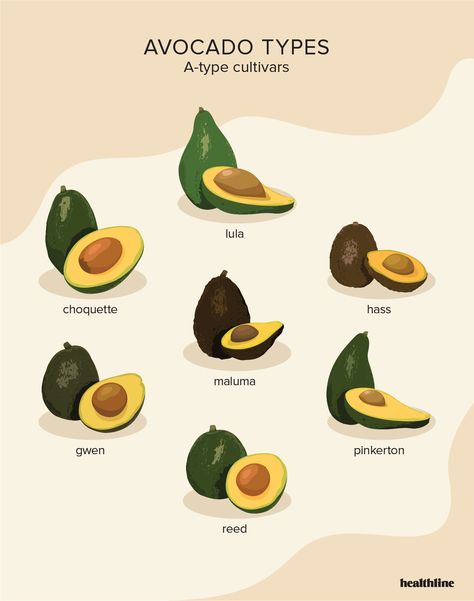 15 Types of Avocado: Benefits, Nutrition, and More Types Of Avocado, Benefits Of Eating Avocado, Avocado Varieties, Avocado Types, Supplements For Energy, Health Benefits Of Fruits, Lemon Water Recipe, Avocado Benefits, Healthy Brunch Recipes