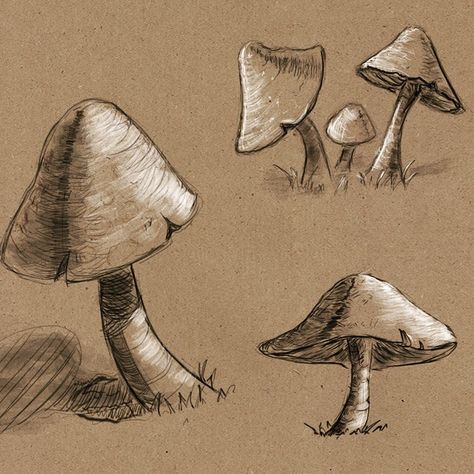 . . . . (exercise with references) #mushroom #fungi #fungus #gill #plant #naturedrawing #quicksketch #sketch #sketching #dailysketch… Mushroom Drawing Detailed, Mushroom Pen Drawing, Drawings On Brown Paper, Brown Paper Sketch, Toned Paper Sketch, Brown Paper Drawing, Brown Sketch, Mushroom Sketch, Kraft Paper Art