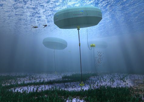 World's first wave energy microgrid project due off Western Australia coast Wave Energy, Solar Energy Diy, Energy Companies, Energy Projects, Green Technology, Wind Energy, Energy Technology, Sustainable Energy, Energy System