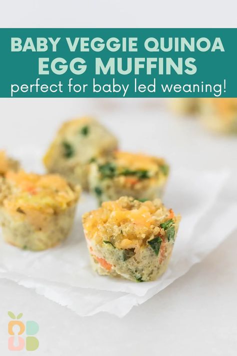 Led Weaning Meals, Baby Led Weaning Meals, Weaning Meals, Muffins Baby, Broccoli Patties, Quinoa Egg, Veggie Quinoa, Veggie Bites, Baby Muffins