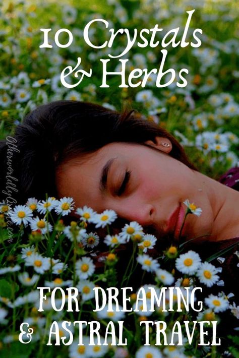 10 Herbs & Crystals for Astral Projection and Prophetic Dreams Crystals And Herbs, Dream Herbs, Dream Spell, Prophetic Dreams, Herbs List, Magical Herbs, Out Of Body, Dream Symbols, Herbal Magic