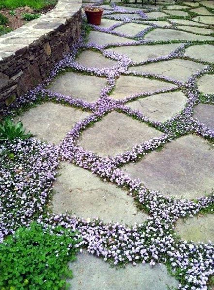 Path Walkway Ideas, Drainage Solutions Landscaping, Diy Garden Path, Diy Septic System, Paranormal Pictures, Stone Garden Paths, North Dakota State University, Landscaping With Large Rocks Front Yard, Landscaping With Large Rocks Natural