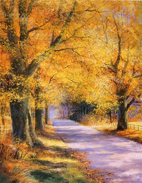 Terry Harrison, 자작나무 그림, Painting Of Trees, 숲 사진, 수채화 그림, Autumn Scenery, Watercolor Trees, Autumn Painting, Autumn Art